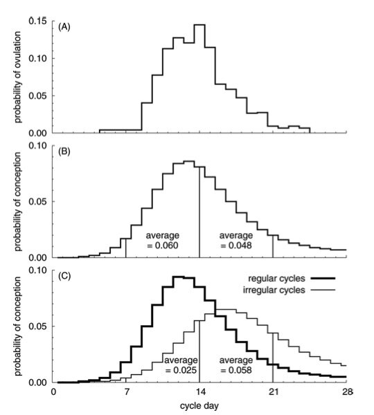 This is important.Panel A: The probability of ovulation by cycle day. Normal variation in the length of the follicular phase of the menstrual cycle: effect of chronological age.Panel B: Daily probability of conception on each cycle day; mean probabi…